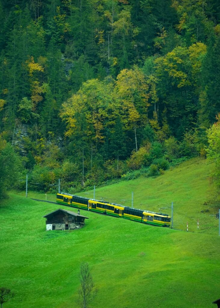 A yellow train travels through a green landscape.
